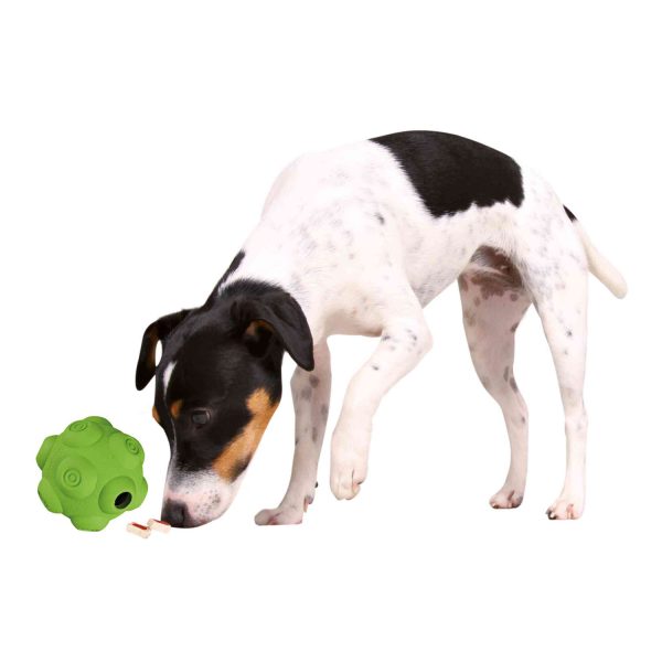 Dog Activity Pelota Snacks - Imagen 5