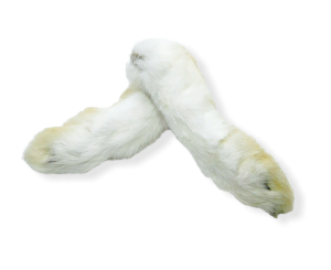 pata de conejo con pelo