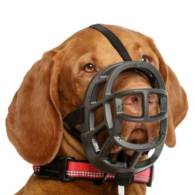 Baskerville Ultra Muzzle Bozal Tipo Canasta/Cesta Para Perros - Imagen 5