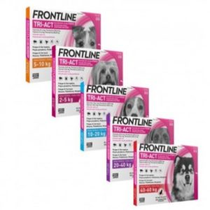 Pipetas antiparasitarias Frontline Tri-Act  para perro