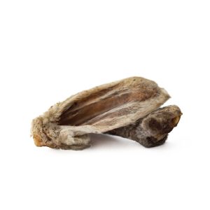 OREJA DE CORDERO CON PELO