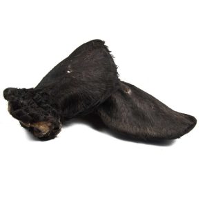 Oreja de vacuno con pelo