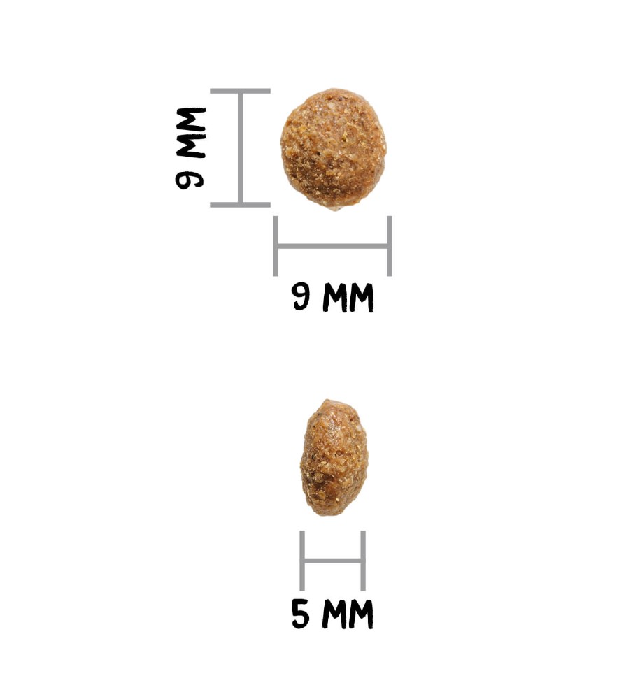 Pienso Ownat Author Fresh de cordero y cerdo (perro) - Imagen 4