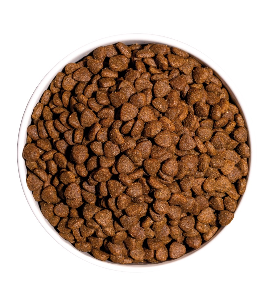 Ownat Classic Kitten para Gato - Imagen 3