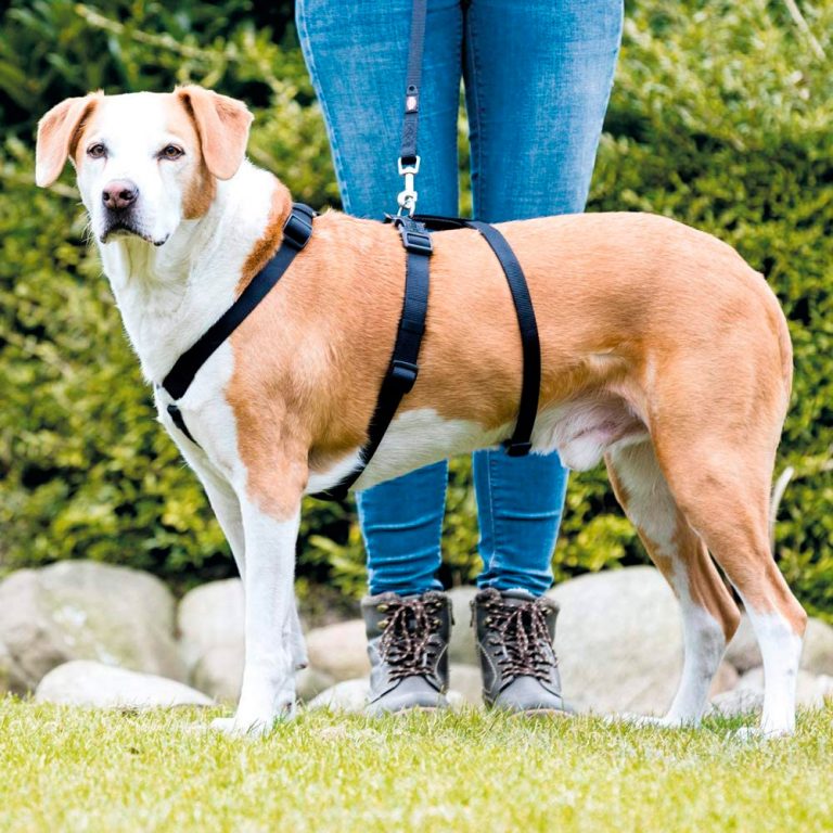 Arnes antiescape de 3 puntos para Perros - Trixie - Imagen 2