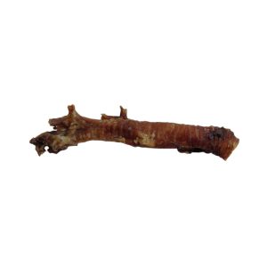traquea_cerdo_perro_hobbitalf