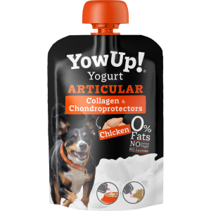 Yowup Pollo – Yogures sin lactosa y con probioticos. Articular perros.