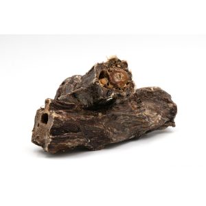 Cuello de ciervo 100g