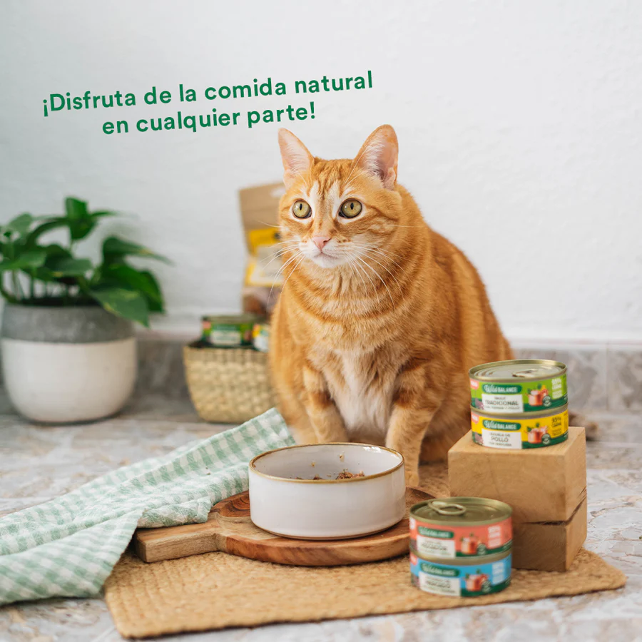 Lata Cazuela de Pollo con verduras para Gatos 80gr - Imagen 5