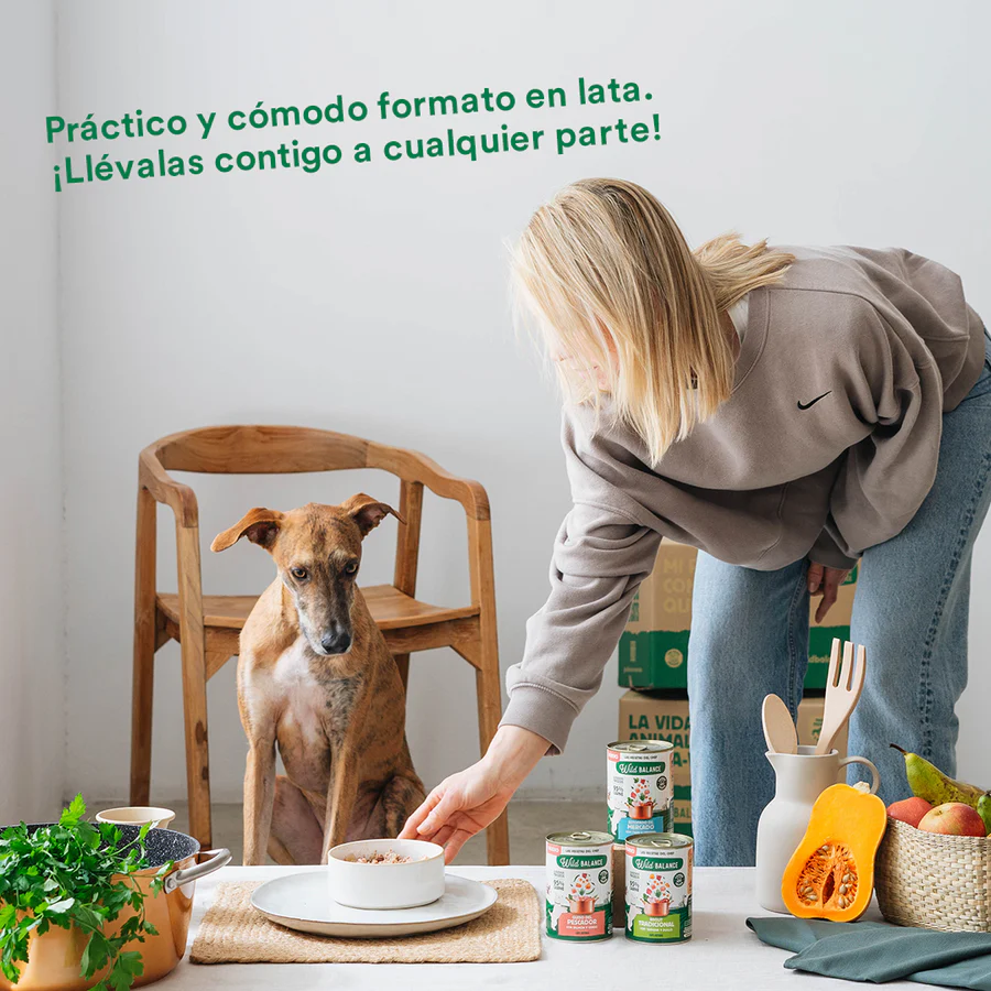 Lata de Ragut tradicional de Ternera y Pollo para perros 400g - Imagen 5