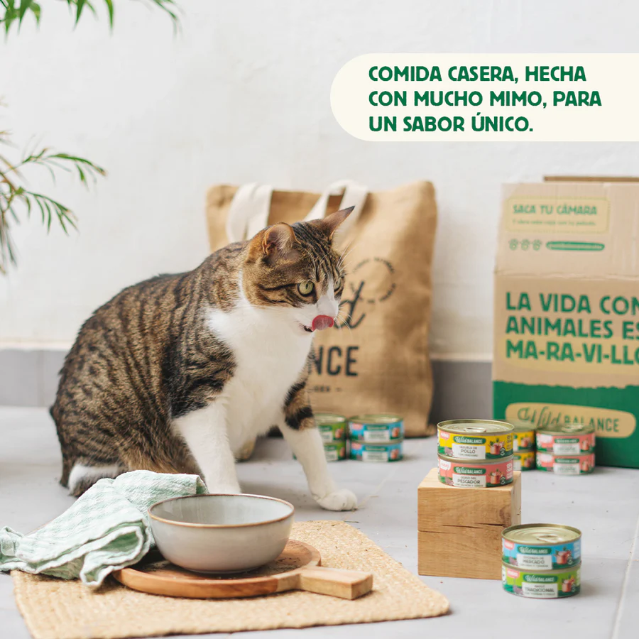 Lata de Ragut Tradicional de Ternera y Pollo para Gatos 80gr - Imagen 4