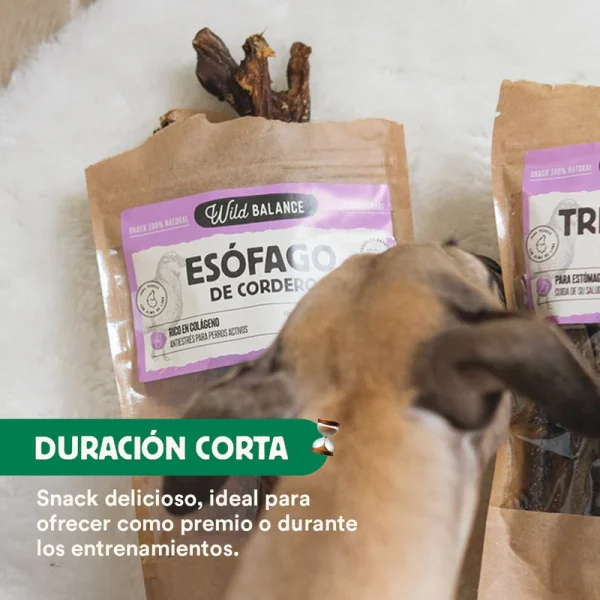 Esófago de Cordero - Imagen 4