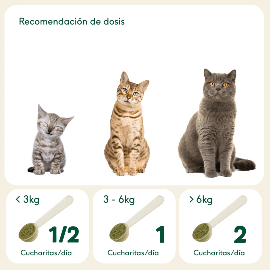 Wild Balance Fuera Placa Suplemento Anti Sarro para Perros y Gatos - Imagen 6
