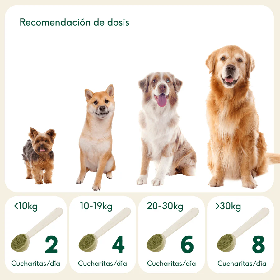 Wild Balance Fuera Placa Suplemento Anti Sarro para Perros y Gatos - Imagen 5