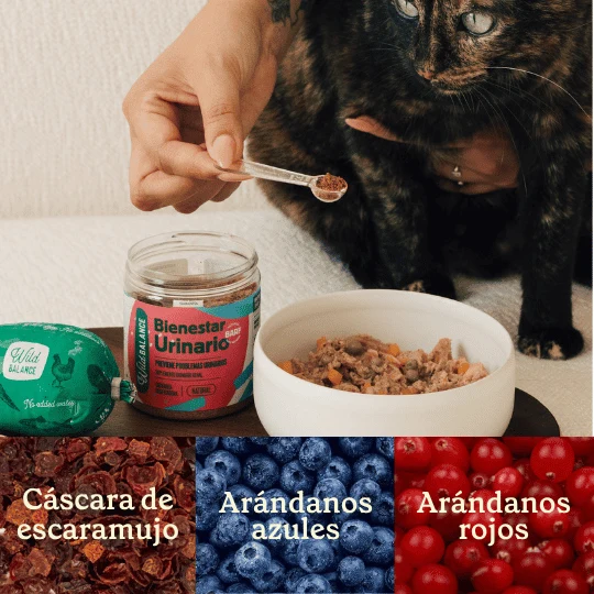 BIENESTAR URINARIO Suplemento urinario para perros y gatos - Imagen 2