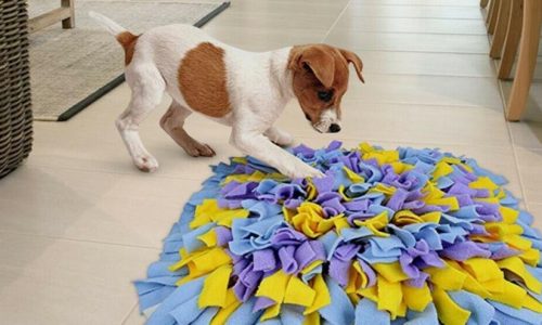 b30b6e6f-514b-47ab-933e-55e571c8ae11_16-9-aspect-ratio_default_0 b30b6e6f-514b-47ab-933e-55e571c8ae11_16-9-aspect-ratio_default_0