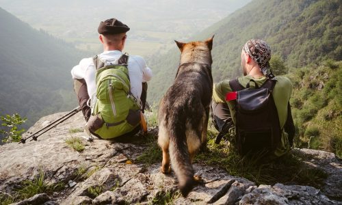 Men watching the scene with their dog Men watching the scene with their dog