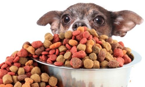 pienso-para-perros-naturales